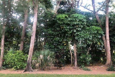 Copropriété à vendre à West Palm Beach, Floride: 1 chambre, 98.29 m2 № 2183012 - photo 16