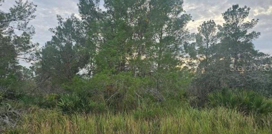 Terrain à Sebring, Floride № 2204396
