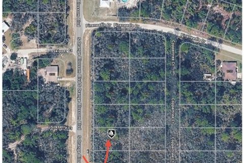 Land in Sebring, Florida № 2161781