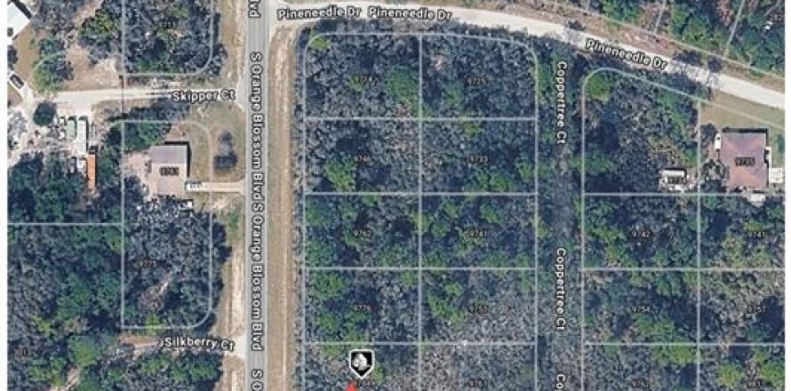 Land in Sebring, Florida № 2161781