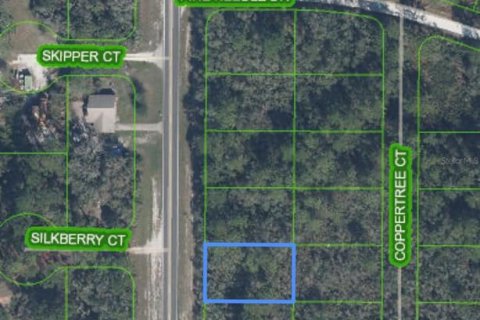 Land in Sebring, Florida № 2161781 - photo 7