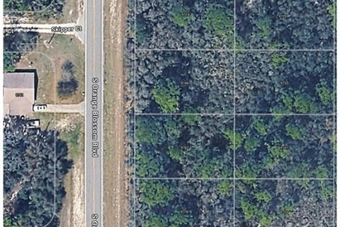 Land in Sebring, Florida № 2161781 - photo 5