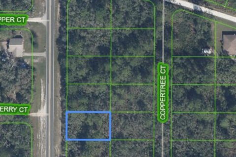 Land in Sebring, Florida № 2161781 - photo 6