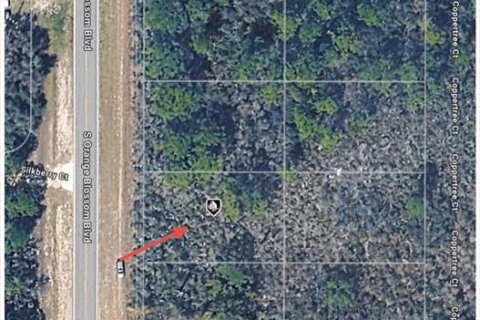 Land in Sebring, Florida № 2161781 - photo 2