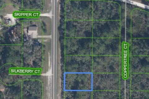 Land in Sebring, Florida № 2161781 - photo 8