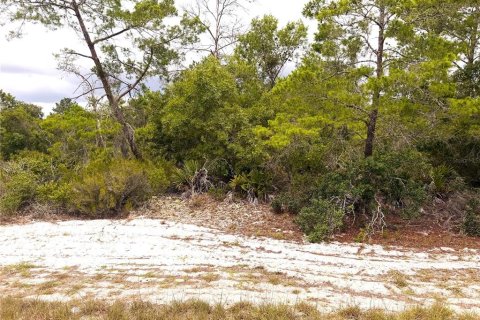 Land in Lake Placid, Florida № 2233299