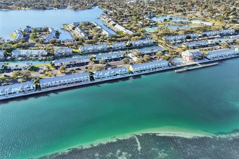 Condo in Saint Petersburg, Florida, 1 bedroom  № 2212136 - photo 23
