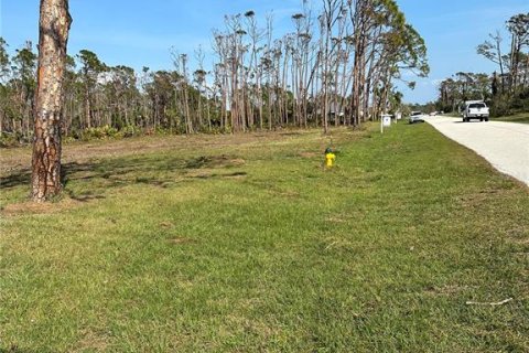 Land in Englewood, Florida № 213729 - photo 2