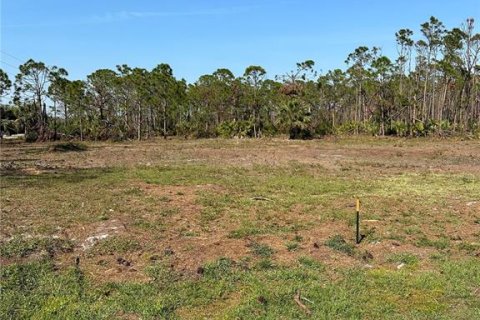Land in Englewood, Florida № 213729 - photo 3