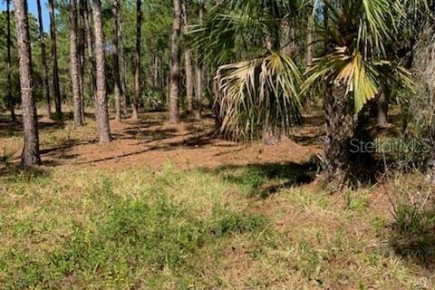 Land in Englewood, Florida № 213729 - photo 6
