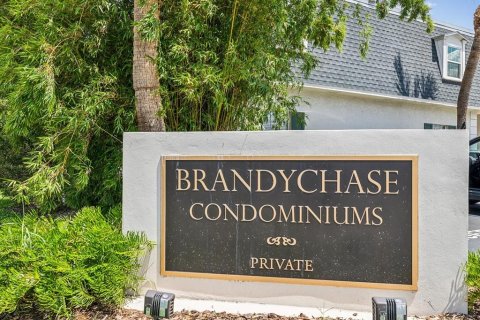 Condo in Tampa, Florida, 1 bedroom  № 2267208