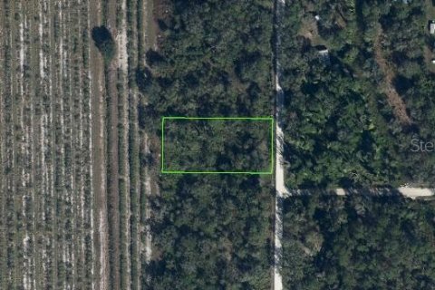 Terrain à Venus, Floride № 2161444