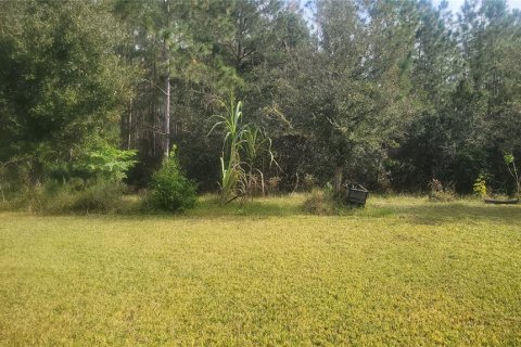 House in DeLand, Florida 4 bedrooms, 229.38 sq.m. № 1561214 - photo 19