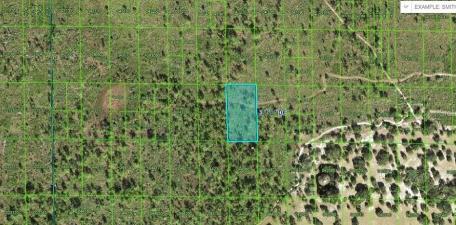 Land in Lake Wales, Florida № 2163764