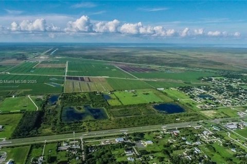 Купить коммерческую недвижимость в Мур-Хейвен, Флорида № 1772481 - фото 6