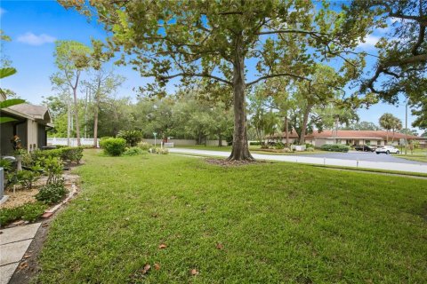 Condo in Dunedin, Florida, 2 bedrooms № 2384220 - photo 29