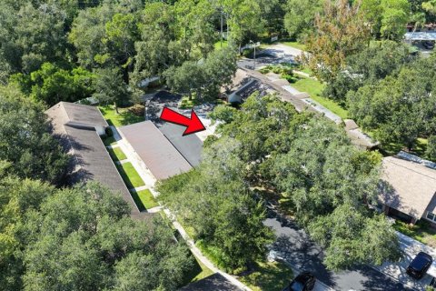 Condo in Dunedin, Florida, 2 bedrooms № 2384220 - photo 5