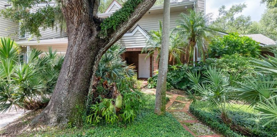 Adosado en Tampa, Florida 3 dormitorios, 239.22 m2 № 2355137