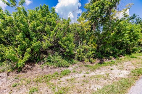 Land in Port Charlotte, Florida № 2165033 - photo 4