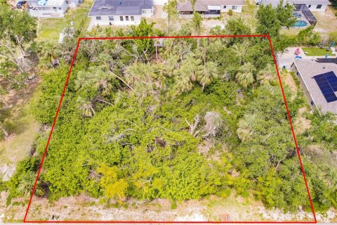 Land in Port Charlotte, Florida № 2165033 - photo 3
