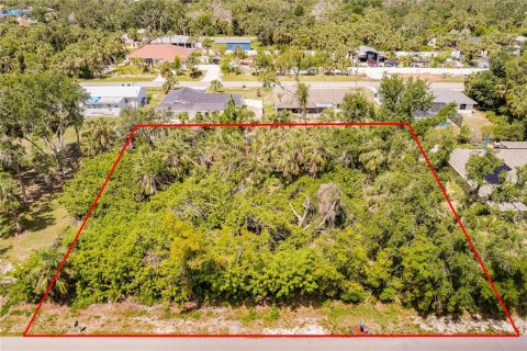 Land in Port Charlotte, Florida № 2165033 - photo 2