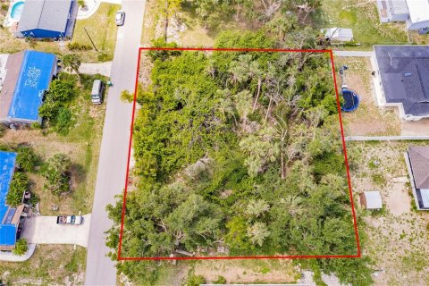 Land in Port Charlotte, Florida № 2165033 - photo 6