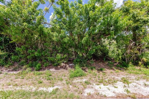 Land in Port Charlotte, Florida № 2165033 - photo 5
