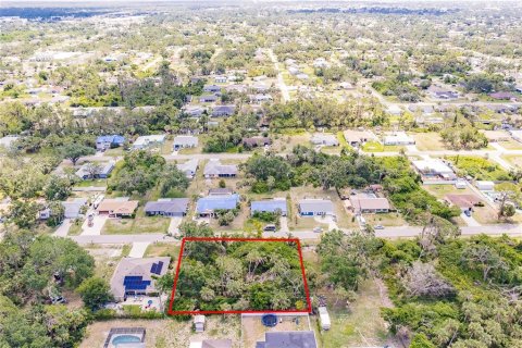 Land in Port Charlotte, Florida № 2165033 - photo 10