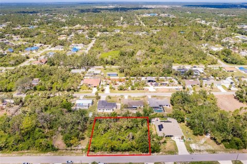 Land in Port Charlotte, Florida № 2165033 - photo 8