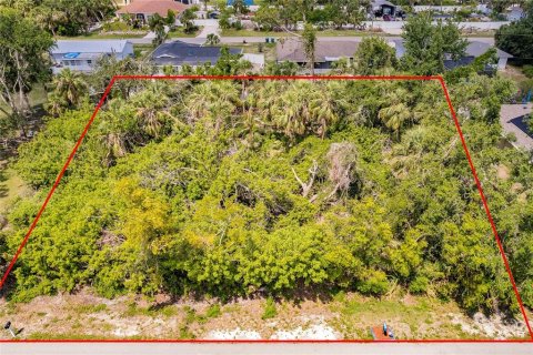Land in Port Charlotte, Florida № 2165033
