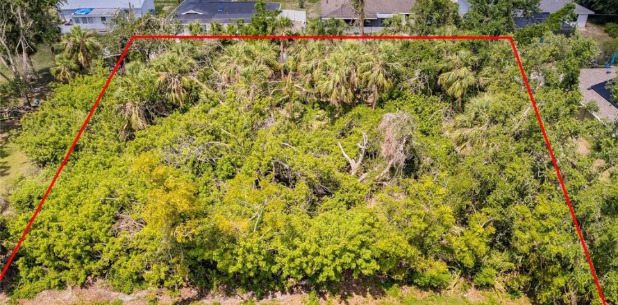 Land in Port Charlotte, Florida № 2165033