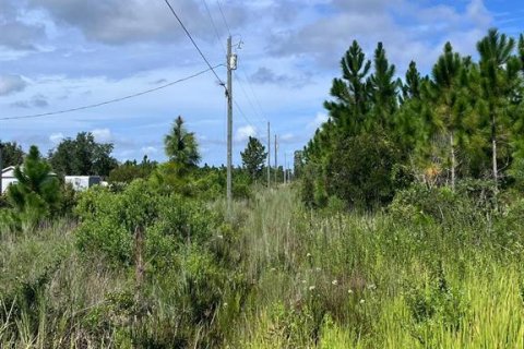 Land in Indian lake estates, Florida № 2162939 - photo 6