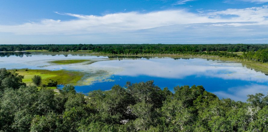 Villa ou maison à Keystone Heights, Floride 4 chambres, 228.91 m2 № 772623