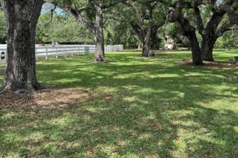 Condo in Tampa, Florida, 3 bedrooms  № 1561930 - photo 23