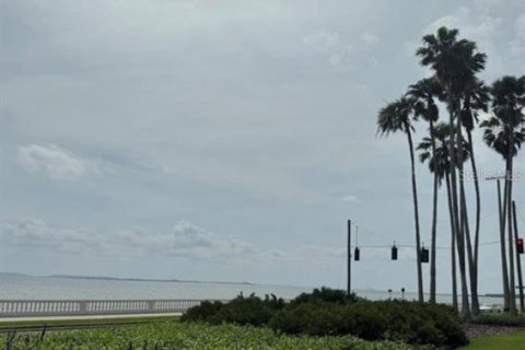 Condo in Tampa, Florida, 3 bedrooms  № 1561930 - photo 25