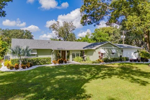 Villa ou maison à vendre à Valrico, Floride: 4 chambres, 176.51 m2 № 2404627 - photo 2