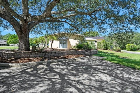 Commercial property in Ormond Beach, Florida 354.14 sq.m. № 1598758 - photo 3