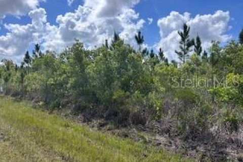 Terreno en Indian lake estates, Florida № 2206009