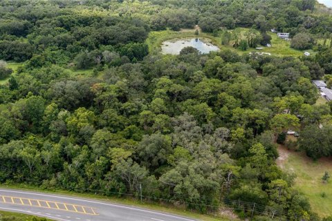 Land in Yalaha, Florida № 1851270 - photo 6