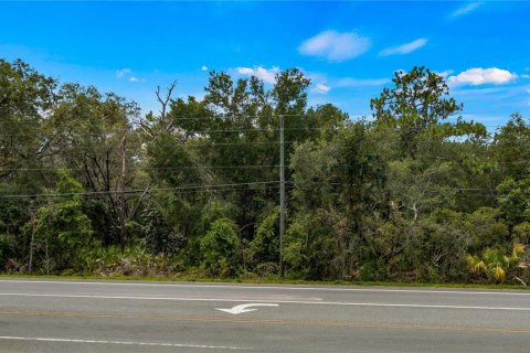 Land in Yalaha, Florida № 1851270 - photo 2