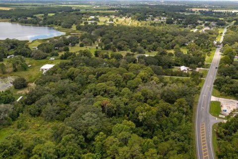 Land in Yalaha, Florida № 1851270 - photo 5