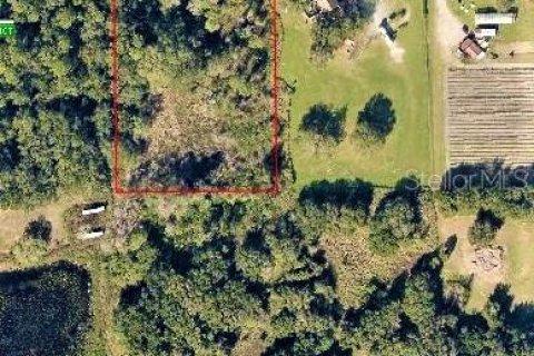 Land in Yalaha, Florida № 1851270 - photo 9