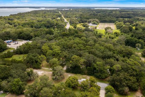 Land in Yalaha, Florida № 1851270 - photo 8