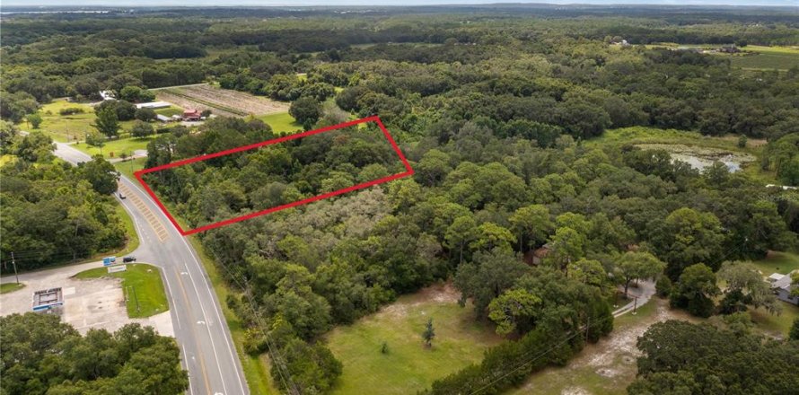 Land in Yalaha, Florida № 1851270