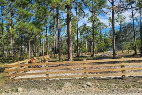 Land in LaBelle, Florida № 1830573 - photo 7