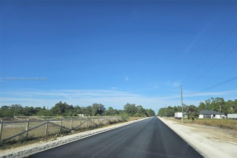 Land in LaBelle, Florida № 1830573 - photo 4