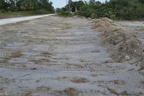 Land in LaBelle, Florida № 1830573 - photo 2