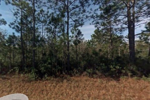 Land in Hastings, Florida № 2370983 - photo 3