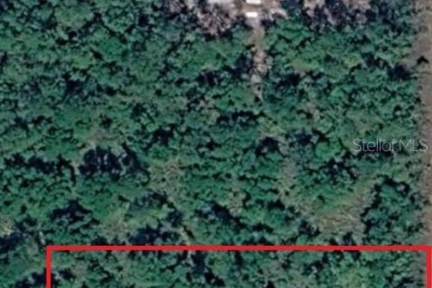 Land in Hastings, Florida № 2370983 - photo 4