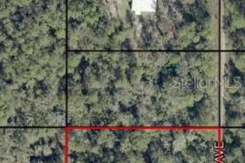 Land in Hastings, Florida № 2370983 - photo 2